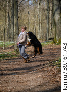 dog bites woman. Стоковое фото, фотограф Lekcej / Фотобанк Лори