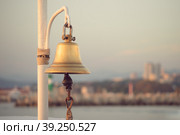 Sea bell on a blurred background of the sea landscape (2016 год). Стоковое фото, фотограф Виктория Кольцова / Фотобанк Лори