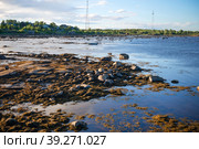 Во время отлива на Белом море. Поселок Рабочеостровск, Кемский район, Республика Карелия, Россия (2018 год). Стоковое фото, фотограф Pukhov K / Фотобанк Лори