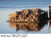 Старый разрушенный причал. Поселок Рабочеостровск. Белое море, Кемский район, Республика Карелия, Россия (2018 год). Стоковое фото, фотограф Pukhov K / Фотобанк Лори