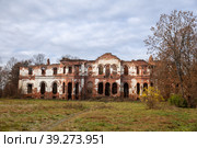 Ruins of the manor in Gostilitsy (2022 год). Стоковое фото, фотограф Юлия Бабкина / Фотобанк Лори