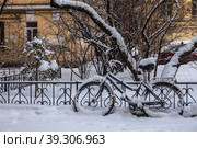 Велосипед в снегу (2023 год). Стоковое фото, фотограф Михаил Богородский / Фотобанк Лори
