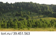 Уральские горы летом, склон холма, поросший лесом. Ural Mountains in summer, hillside overgrown with forest. Стоковое видео, видеограф Евгений Романов / Фотобанк Лори
