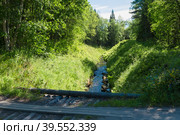 Канал с водой в лесу. Стоковое фото, фотограф Pukhov K / Фотобанк Лори