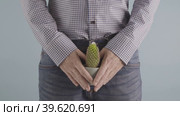 Prostate Health A Conception Studio Look, Understanding Prostate Problems in Men. A man holds a pot with a cactus in his hands. Стоковое видео, видеограф Mihail Mihaylov / Фотобанк Лори