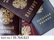 Документы гражданина Российской Федерации - паспорт, военный билет, трудовая книжка. Стоковое фото, фотограф Николай Винокуров / Фотобанк Лори