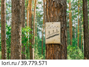 Ancient letter on wood from fishermen for their fellow tribesmen in the Siberian forest. Стоковое фото, фотограф Елена Руй / Фотобанк Лори