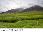 Beautiful landscape of Icelandic field with fence and mountain. Стоковое фото, фотограф Luis Louro / PantherMedia / Фотобанк Лори
