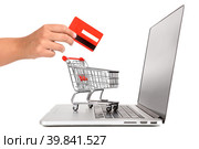 Online shopping. Стоковое фото, фотограф Luis Louro / PantherMedia / Фотобанк Лори