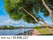 Vyborg, picturesque willow on the embankment of the Bolshoy Ladle Bay (2019 год). Редакционное фото, фотограф Ольга Остроухова / Фотобанк Лори