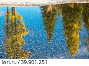 Река Тюте (Тетё) осенью. Кош-Агачский район Республики Алтай. Стоковое фото, фотограф Евгений Мухортов / Фотобанк Лори