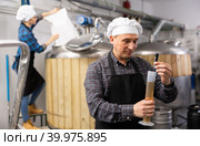 Man brewmaster measuring beer with alcoholometer. Стоковое фото, фотограф Яков Филимонов / Фотобанк Лори