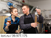 Man and woman brewmasters measuring beer with alcoholometer. Стоковое фото, фотограф Яков Филимонов / Фотобанк Лори