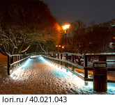 walking path in the night park in winter with overhanging trees and illumination from lanterns. Стоковое фото, фотограф Скрипачев Антон / Фотобанк Лори