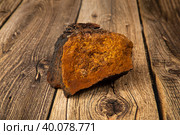 Chaga.Birch chaga.Mushroom on a birch tree.Useful plants. Стоковое фото, фотограф Александр Поташев / Фотобанк Лори