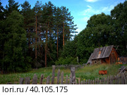 Деревушка в лесу. Стоковое фото, фотограф Анастасия Петрова / Фотобанк Лори