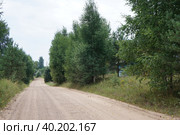 Просёлочная дорога через Ровень Мосты. Стоковое фото, фотограф Юрий Хабаров / Фотобанк Лори