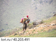 A Kandi owner taking woman pilgrim to Kedarnath temple. Стоковое фото, фотограф Devendra Rawat / Фотобанк Лори