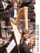 Woman playing harp in orchestra. Tyumen (2017 год). Редакционное фото, фотограф Сергей Буторин / Фотобанк Лори