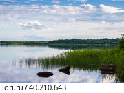 Красивый летний пейзаж. Живописный вид на озеро. Стоковое фото, фотограф Андрей Степанов / Фотобанк Лори