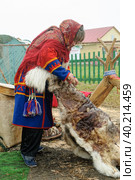 Nenets woman processes cervine skin (2016 год). Редакционное фото, фотограф Сергей Буторин / Фотобанк Лори