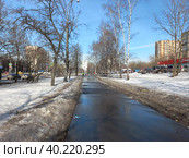 Уральская улица. Район Гольяново. Город Москва (2023 год). Редакционное фото, фотограф lana1501 / Фотобанк Лори