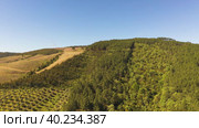 Aerial Flying Above Green Field Toward Giant Wind Turbines On Hill. Стоковое видео, видеограф Кирилл Трифонов / Фотобанк Лори