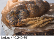 Классическая пшеничная коса или плетёнка с маком. Вкусный хлеб крупным планом. Свежеиспеченный хлеб на закваске с золотистой корочкой на деревянной доске. Контекст пекарни с вкусным хлебом. Кондитерские изделия. Стоковое фото, фотограф Photojuli / Фотобанк Лори