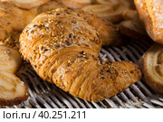 Croissant on rattan mat with other bakery goods. Стоковое фото, фотограф Яков Филимонов / Фотобанк Лори