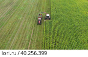 High Angle Flying before combine harvester removes crop from green field in tractor. Стоковое видео, видеограф Кирилл Трифонов / Фотобанк Лори