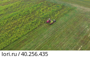 High Angle Flying around combine harvester removes crop from green field in tractor. Стоковое видео, видеограф Кирилл Трифонов / Фотобанк Лори
