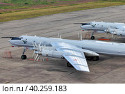 Дальний противолодочный самолёт Ту-142 морской авиации ВМФ России (2020 год). Редакционное фото, фотограф Александр Тарасенков / Фотобанк Лори