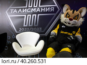 Рысь Сева - официальный талисман хоккейного клуба "Северсталь" (Череповец) в ЦДМ на Лубянке в городе Москве, Россия (2023 год). Редакционное фото, фотограф Николай Винокуров / Фотобанк Лори