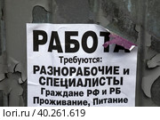 Объявление на сером строительном заборе с предложением работы (2023 год). Редакционное фото, фотограф Николай Винокуров / Фотобанк Лори