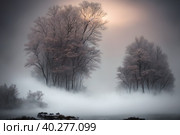 Beautiful frozen northern landscape at sunset during bliszard, AI generative. Стоковое AI-изображение, AI-художник Сергей Старуш / Фотобанк Лори