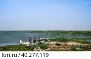Mesopotamian Marshes, habitat of Marsh Arabs aka Madans Iraq (2011 год). Стоковое фото, фотограф Сергей Майоров / Фотобанк Лори