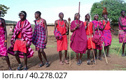 MAASAI MARA NATIONAL RESERVE, KENYA, AFRICA - NOVEMBER 11, 2022: People of Kenya. Group of Maasai men in traditional clothes and outfits with sticks standing in a row and sing a song in the middle of a village in Kenya, Africa. Редакционное видео, видеограф Алексей Кузнецов / Фотобанк Лори