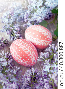 Easter eggs and flowers, happy holidays. Стоковое фото, фотограф ElenArt / Фотобанк Лори