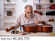 Old male repairman repairing musical instruments at workshop. Стоковое фото, фотограф Elnur / Фотобанк Лори