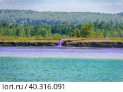 The sludge diverter discharges purple waste into tailings pond. Reuse of water in a closed cycle for ore beneficiation. Стоковое фото, фотограф Дмитрий Коростылев / Фотобанк Лори