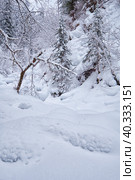 Footpath in winter taiga forest under heavy snow along Tevenek river on the bank of Teletskoe lake. Altai. Стоковое фото, фотограф Сергей Пристяжнюк (Serg Zastavkin) / Фотобанк Лори