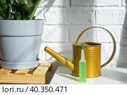 Drip fertilizer for potted plants, stimulator of development, growth acceleration, home plant care. A bottle of liquid is inserted into the soil in a pot. Home crop production. Стоковое фото, фотограф Ольга Симонова / Фотобанк Лори