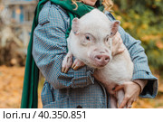 The girl in her arms holds a white mini-pig. Стоковое фото, фотограф Ольга Сейфутдинова / Фотобанк Лори