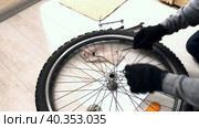 A man removes the ball bearing boot of the front wheel of a bicycle. Takes out the bearing balls with a screwdriver. Bike repair. Стоковое видео, видеограф Vadzim Yakubovich / Фотобанк Лори