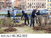 Общегородской весенний субботник. Участники субботника во время уборки листьев в Рахманиновском сквере. (2023 год). Редакционное фото, фотограф Евгений Кашпирев / Фотобанк Лори