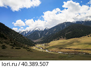 Григорьевское ущелье, Иссык-кульский район, Кыргызстан (2023 год). Стоковое фото, фотограф Римма Тельнова / Фотобанк Лори