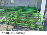 Покупательские торговые тележки на входе строительного магазина Ларуа Марлен (2023 год). Редакционное фото, фотограф Сергеев Валерий / Фотобанк Лори