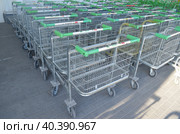 Покупательские торговые тележки на входе строительного магазина Ларуа Марлен (2023 год). Редакционное фото, фотограф Сергеев Валерий / Фотобанк Лори
