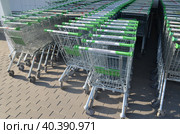 Покупательские торговые тележки на входе строительного магазина Ларуа Марлен (2023 год). Редакционное фото, фотограф Сергеев Валерий / Фотобанк Лори