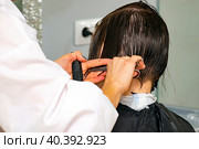 Real female haircut in a beauty salon. woman hairdresser and client. female business. cutting off a strand of wet hair. Стоковое фото, фотограф Антон Вахрушев / Фотобанк Лори